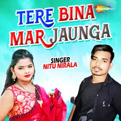 Tere Bina Mar Jaunga